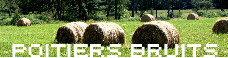 Forum POITIERS BRUITS